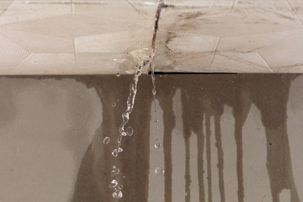 Professional Structural Drying technician working in Newbury, OH